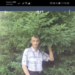 ���� ������, �������, 53 ���� - ��������� 9 ������ 2022