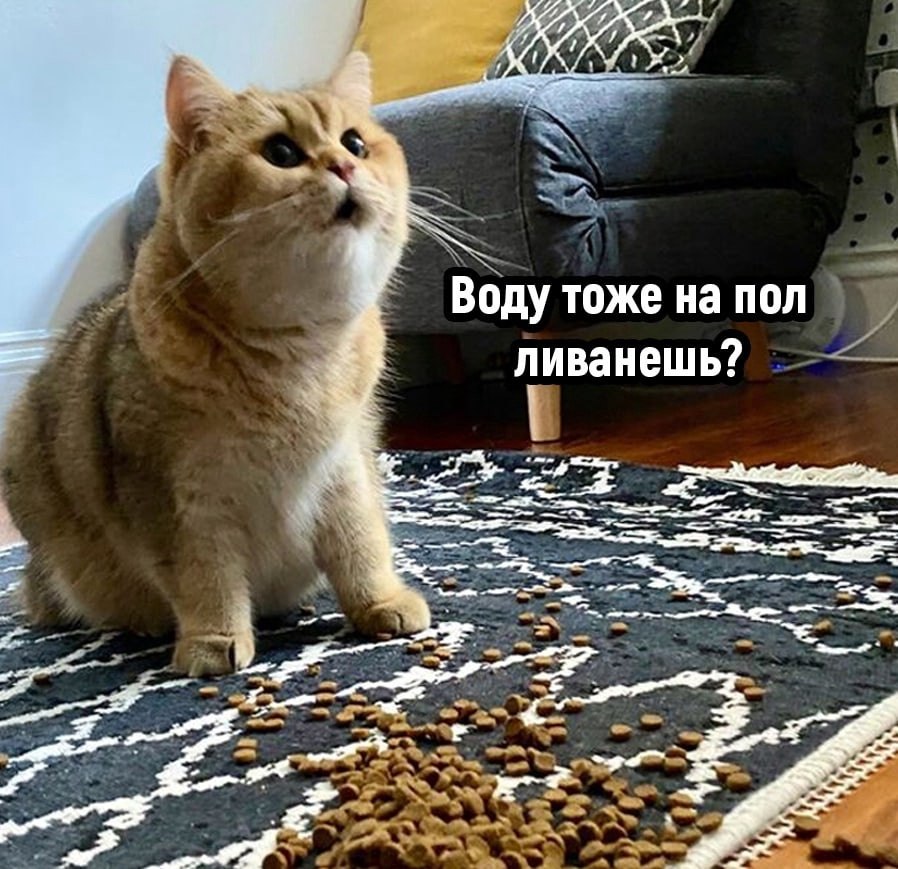     , ?! - 3