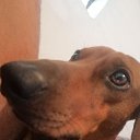 ���� ����, ���������, 42 ���� - ��������� 20 ������� 2022 � ������ ���� ����������