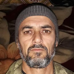 ����, �����-���������, 51 ���