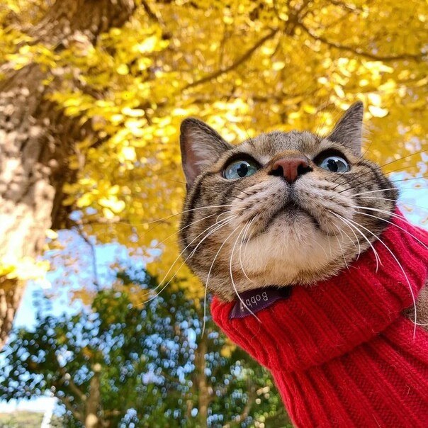 , ... --!