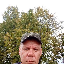 , 41, 