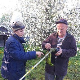 ���� �������, ������, 59 ��� - ��������� 22 ������ 2022