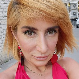 ���, �������, 41 ���