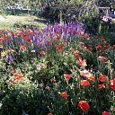 ���� �����, ���� - ��������� 13 ����� 2022 � ������ ���� ����������