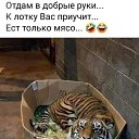 ���� �����, ������ - ��������� 27 ������� 2022 � ������ ������ ��������