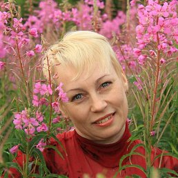 ������, �����-���������