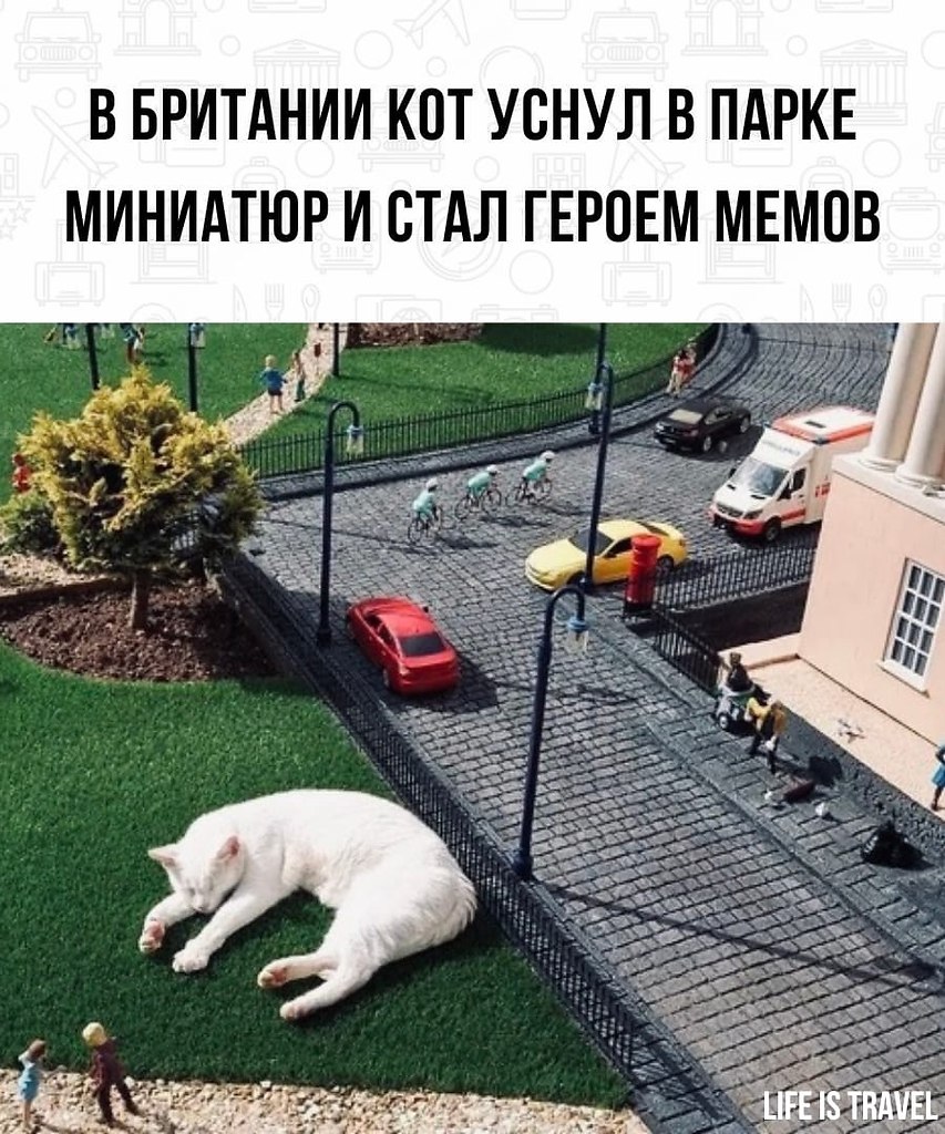 LIFE -  - 8  2022  08:07