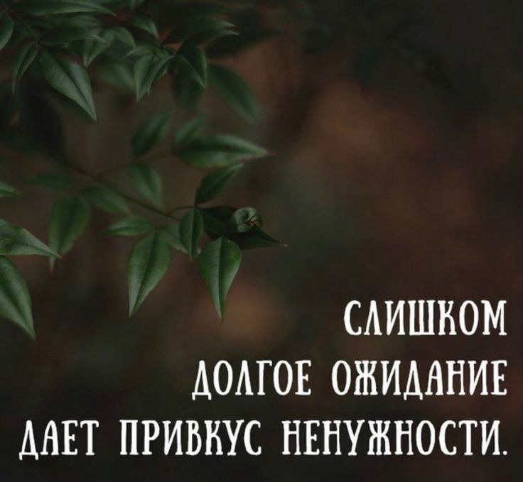   - 20  2022  20:49