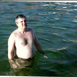 ������, ���������, 65 ���