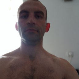 , 36, 