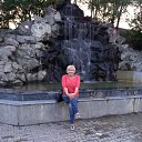 ���� 2022��� �� ������� ���� ����������