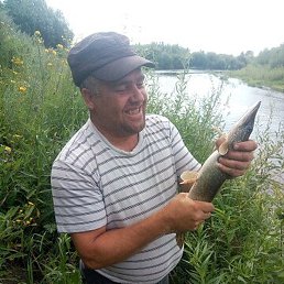 ���������, ������, 45 ���