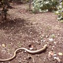 ���� ������, ������, 72 ���� - ��������� 1 �������� 2022 � ������ ���� ����������