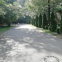 ���� ������, ������, 38 ��� - ��������� 30 ���� 2022 � ������ ��������� �� ������������ ����� (���� �. ��������) 27.07.2022�