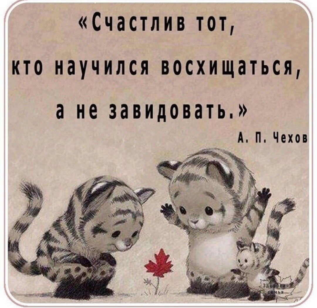 *T* - 14  2022  07:52