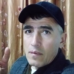 Sher, �����, 50 ���