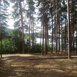 ���� ������, ���������, 50 ��� - ��������� 19 ������� 2022