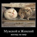 ���� �����������, ������ - ��������� 21 ����� 2022 � ������ ����