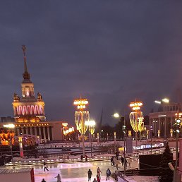 �����, ������, 59 ���