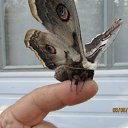 ���� �����, ���������, 69 ��� - ��������� 16 ������� 2023 � ������ ���� ����������