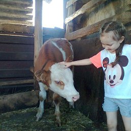 ������, ������������, 63 ����