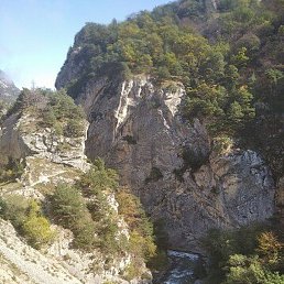 ���������, ��������, 61 ���