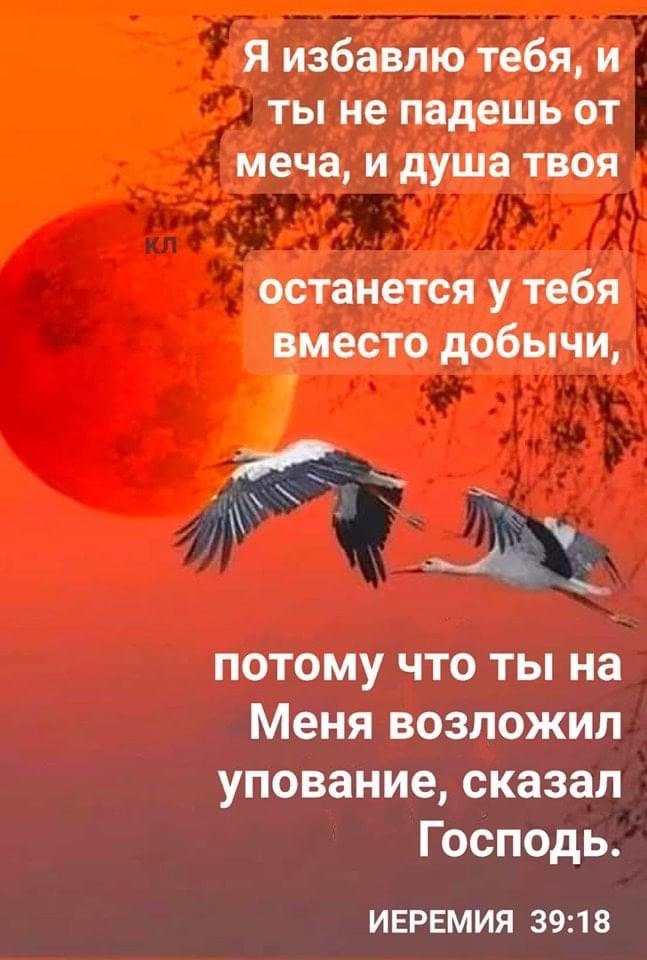   -   - 2  2022  13:15
