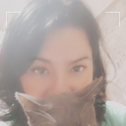 �������� ����������, �����, 43 ����