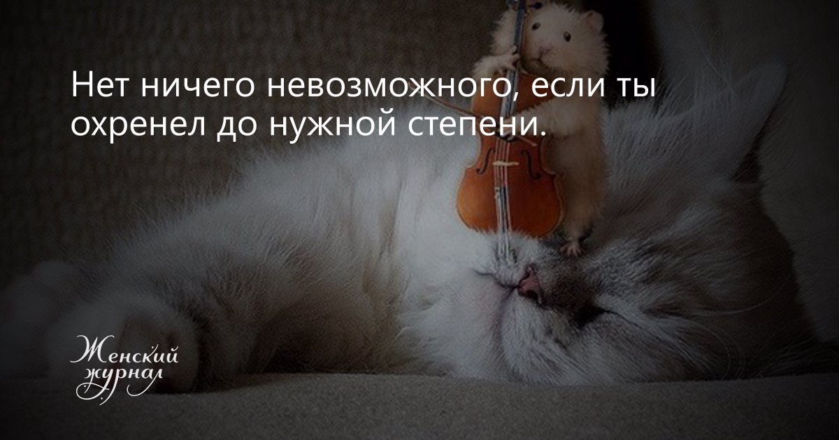 Не Выкупать Нигде!!! - 7 марта 2022 в 11:38