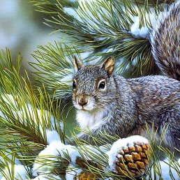 ����, ������, 38 ���