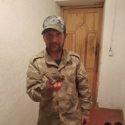 ���� ������, ������, 42 ���� - ��������� 17 ������ 2023