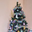 ���� ###�������*****, ������������� - ��������� 9 ������ 2023 � ������ ���� ����������