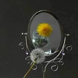 ������, �����