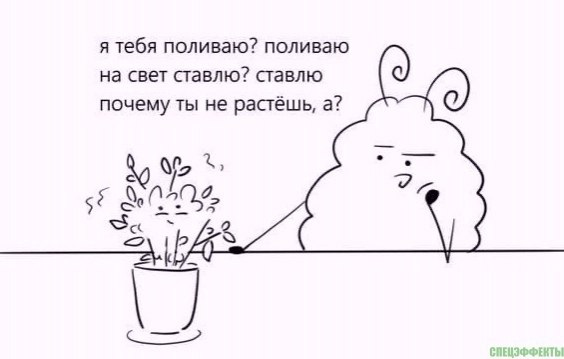    ,     .