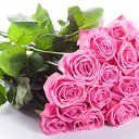 ���� ��������, ������������ - ��������� 27 ���� 2022 � ������ ������ ��������