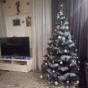 ���� �������, ������, 49 ��� - ��������� 10 ������ 2023 � ������ ���� ����������