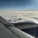  ,  -  15  2022      2022 !!!!!!