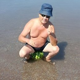 �����, ����������, 66 ���