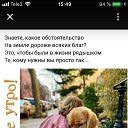 ���� ������, ����������� - ��������� 21 ��� 2022 � ������ ������ ��������