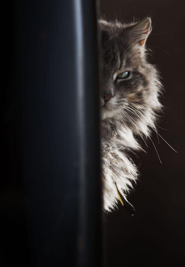   ,     ...        ...)