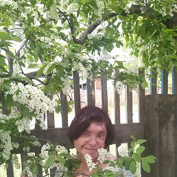 ���� ������, ���������, 44 ���� - ��������� 31 ������� 2022