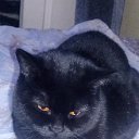 ���� ���������, ���������, 64 ���� - ��������� 19 ������� 2022