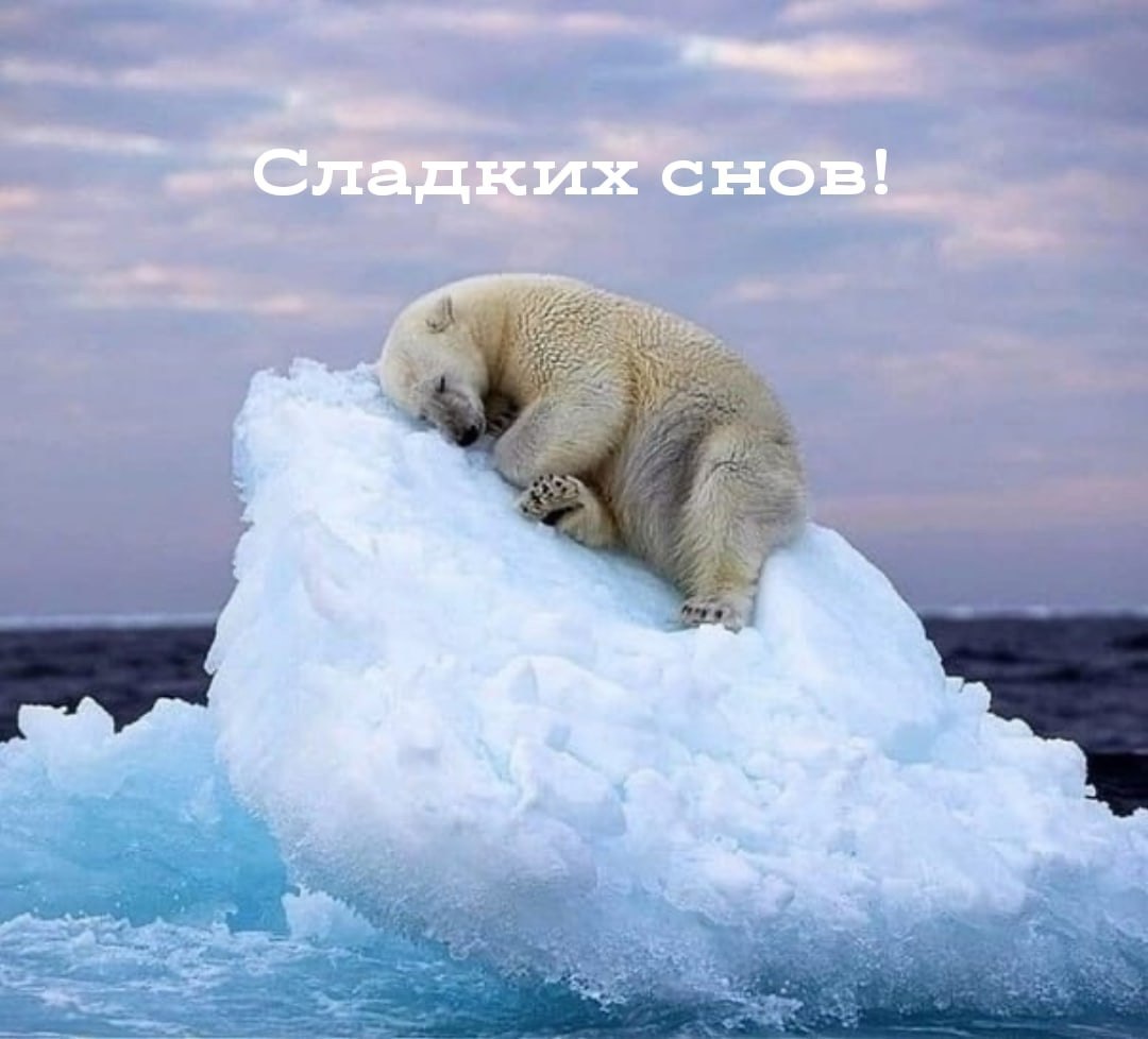 " ") - 21  2022  23:46