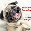 ���� �������, ��������, 71 ��� - ��������� 13 ������� 2022 � ������ ������ ��������