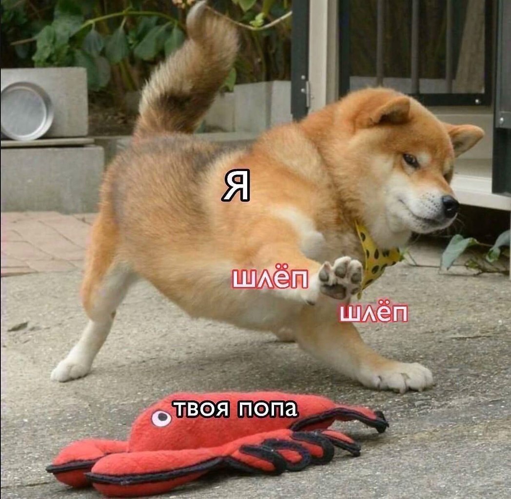    - 1  2023  22:24