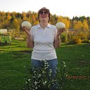 ���� ������, �����, 95 ��� - ��������� 14 ������ 2023