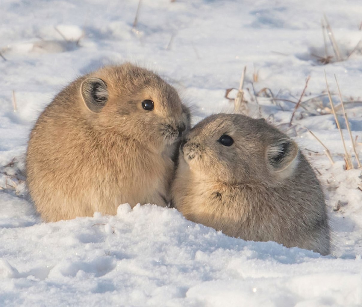 ���� ���������� ������.������ ���������� ������ �������� ������������ �������, �� � ��������� ... - 6