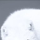 ���� ����, ������������, 44 ���� - ��������� 9 ������� 2023