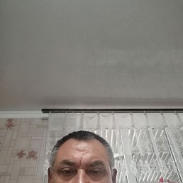 , 52, 